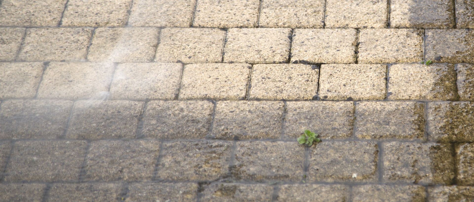 flagging and patios KT17