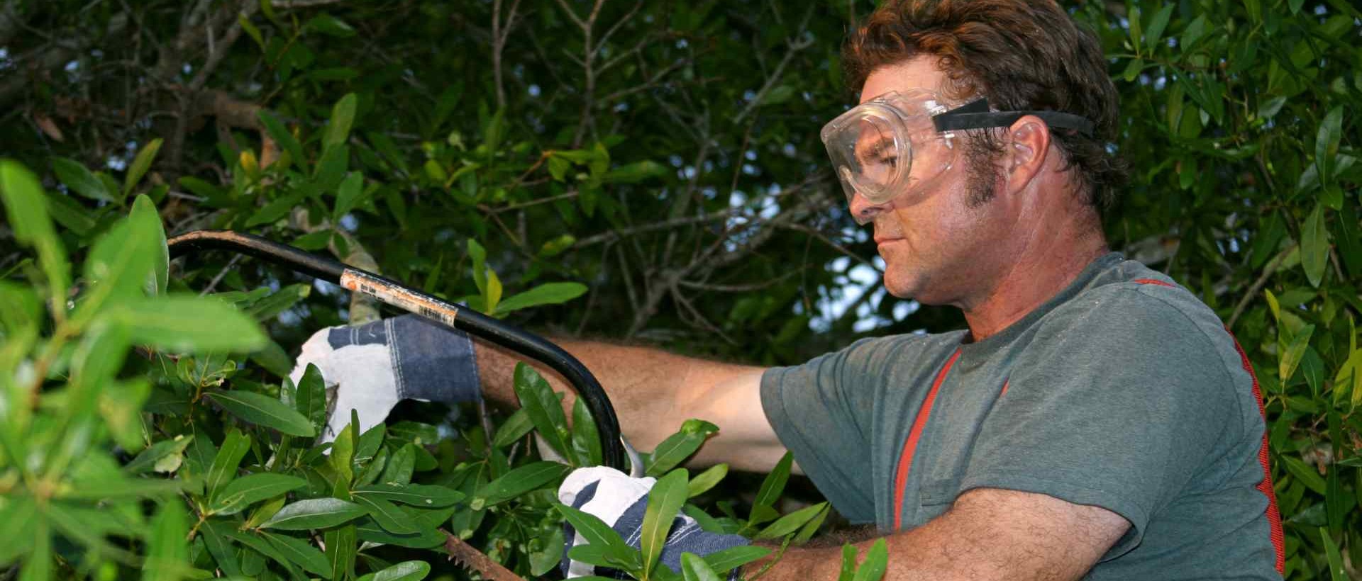 garden clearance KT17