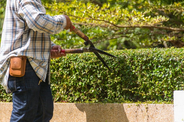 Garden Maintenance Ewell, Stoneleigh, KT17